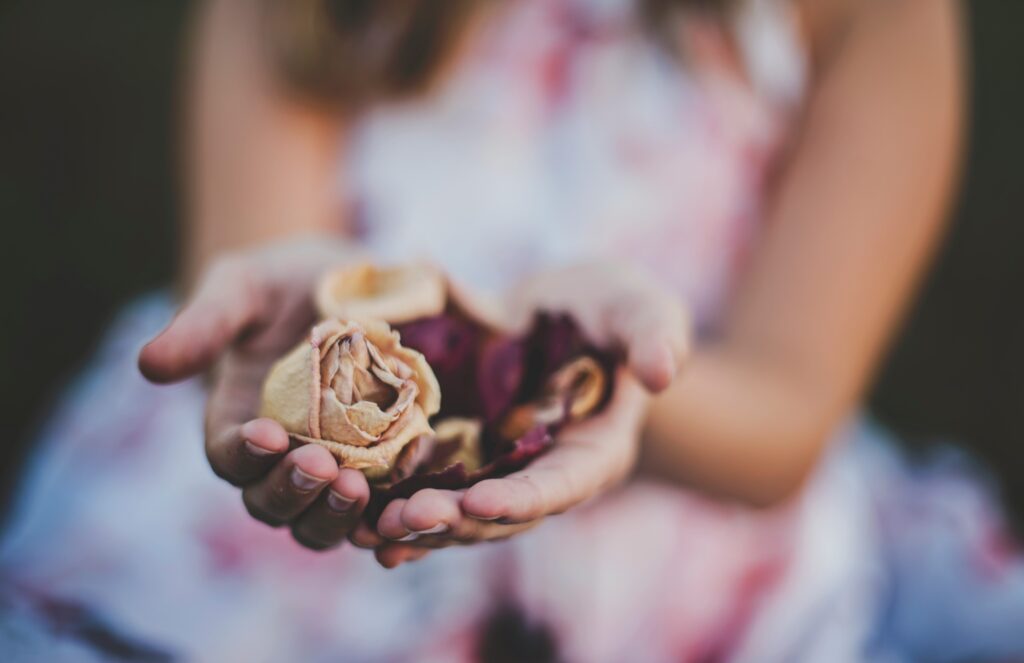 Hands gently holding dried flowers, close-up, with blurred background.