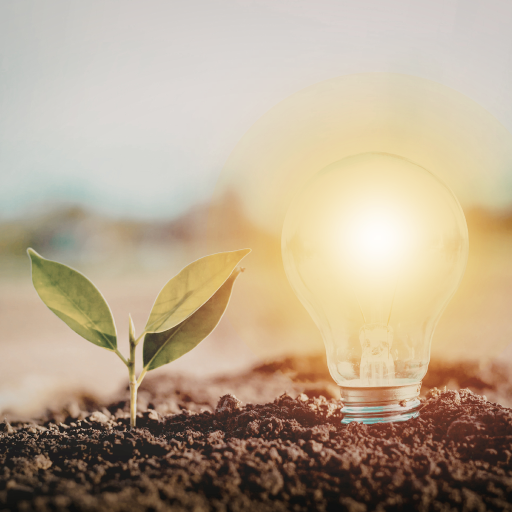 A seedling in fertile soil is basking in the light generated by the light bulb planted in the soil. The image implies that light, or a guide such as Rainforest Reiki Meditation and counselling can support personal growth.